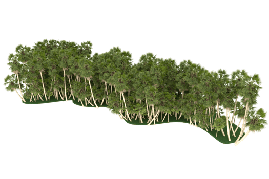 Palm trees isolated on transparent background. 3d rendering - illustration png