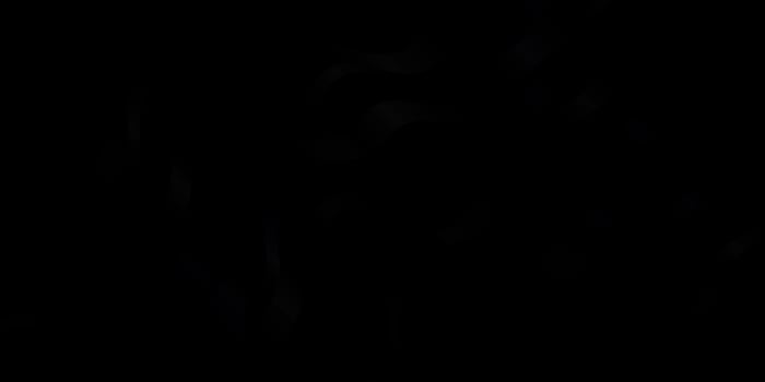 Dark Gray vector background with curves.