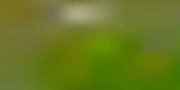 Light green, red vector blur backdrop.