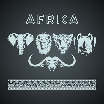 African big five animals and pattern. Mock up is ready to be converted to your business needs. vector