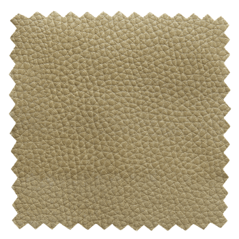 green leather samples texture isolated with clipping path for mockup png
