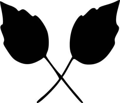 vector illustration of leaf shape