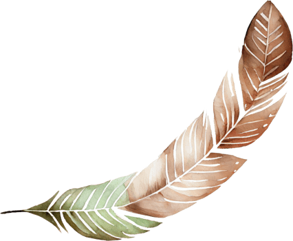 Colorful Feather Watercolor png