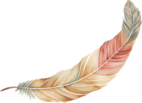 Colorful Feather Watercolor png