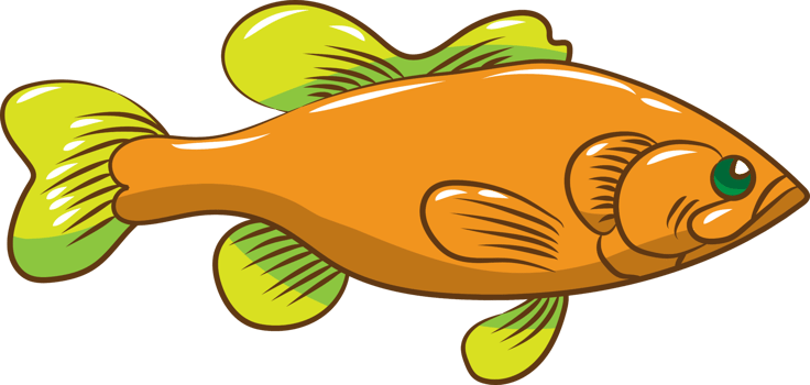Fish png graphic clipart design
