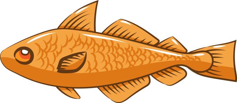 Fish png graphic clipart design