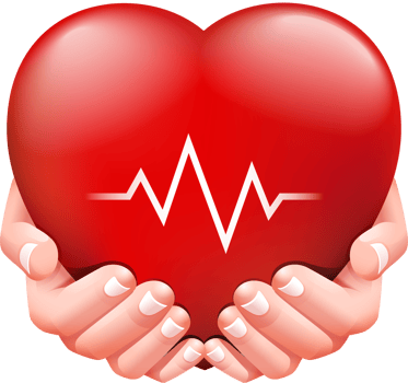 Two hands and red heart png