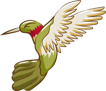hummingbird png graphic clipart design