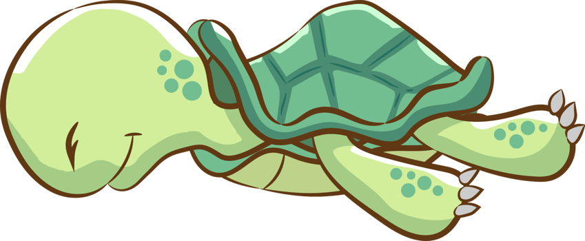 Turtle png graphic clipart design