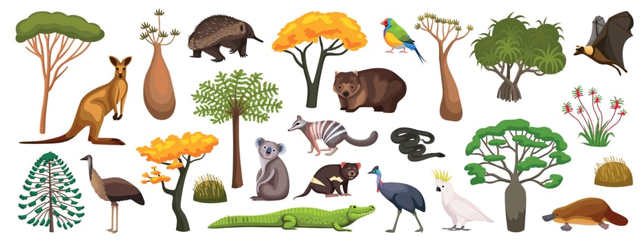 Australian Animals Set vector
