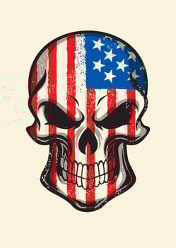 american flag painted on skull vector
