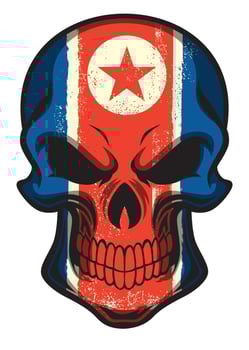 North Korea flag painted on skull vector