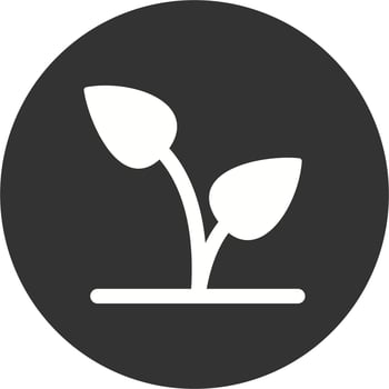 Leaf Vector Icon