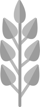 Wheat Vector Icon