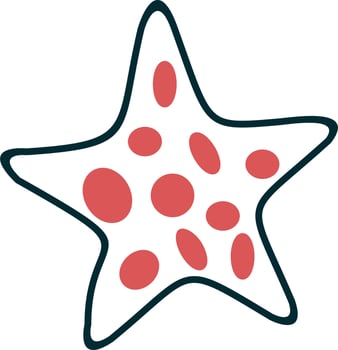 Starfish Vector Icon