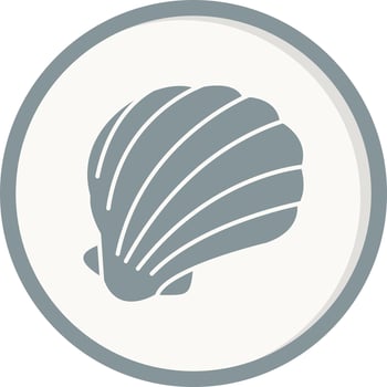 Shell Vector Icon