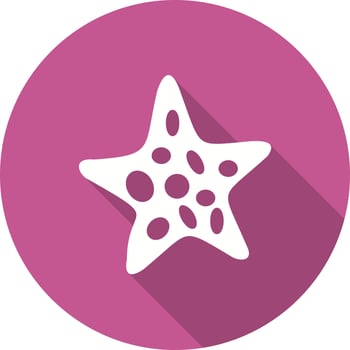Starfish Vector Icon