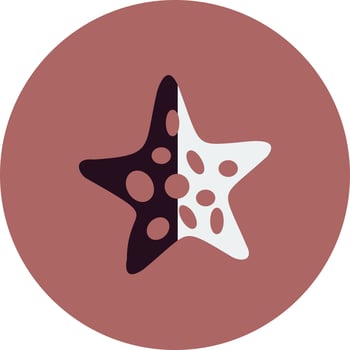 Starfish Vector Icon