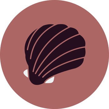 Shell Vector Icon