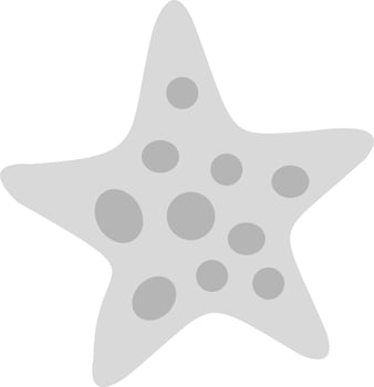 Starfish Vector Icon