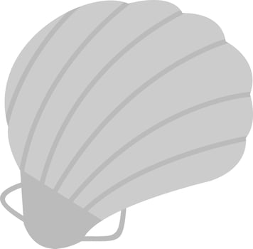 Shell Vector Icon
