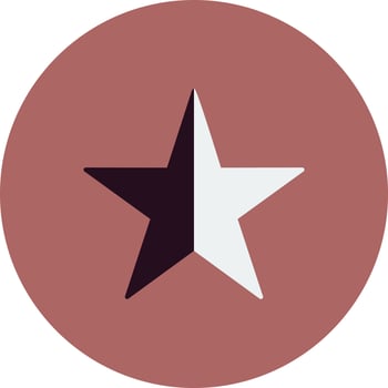 Favorite Vector Icon
