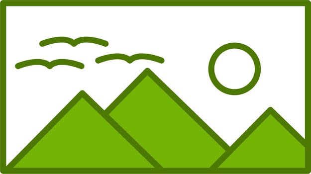 Picture vector icon