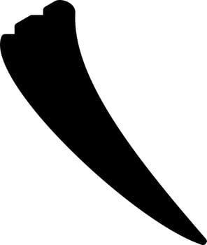 Tusk Vector Icon
