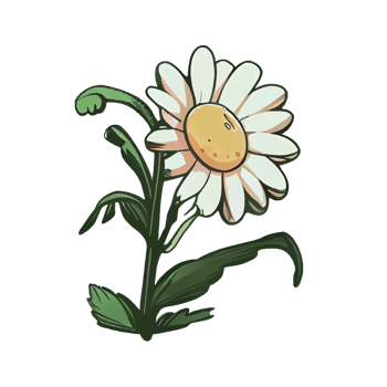 Cute flower hand drawn element, perfect for decorating  Valentine Day or Mother Day card. png