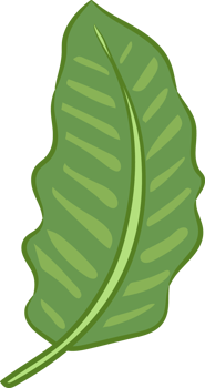 Leaf png graphic clipart design