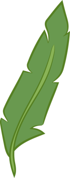 Leaf png graphic clipart design