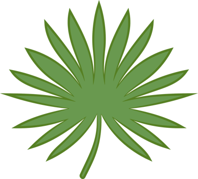 Leaf png graphic clipart design