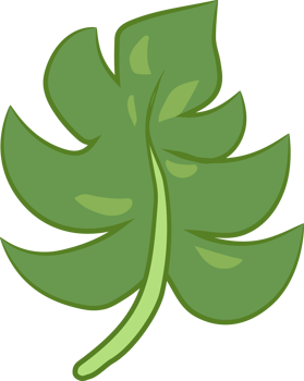 Leaf png graphic clipart design