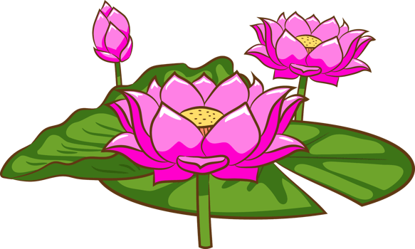Lotus png graphic clipart design