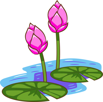 Lotus png graphic clipart design