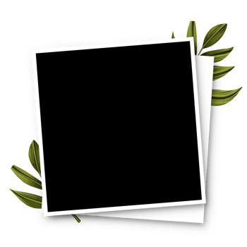 Square photo frame having leaf in background png