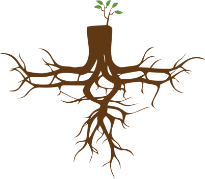 Tree png graphic clipart design