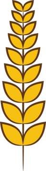 Wheat png graphic clipart design