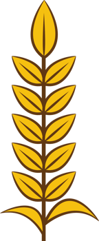 Wheat png graphic clipart design
