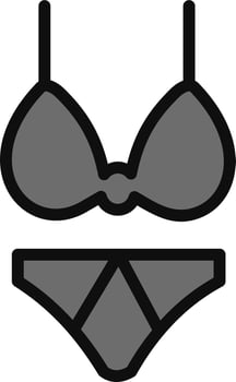 Bikini Vector Icon
