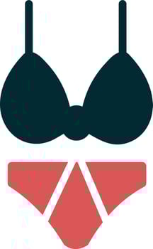 Bikini Vector Icon