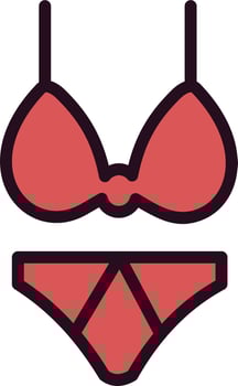 Bikini Vector Icon