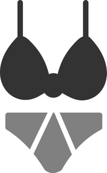 Bikini Vector Icon