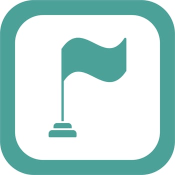 Flag Vector Icon