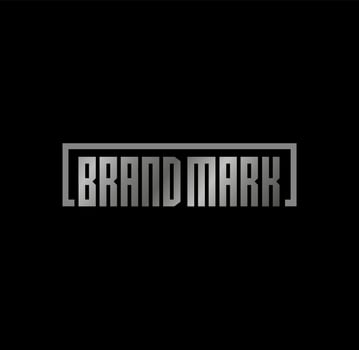 Brand Mark company silver logo vector. vector
