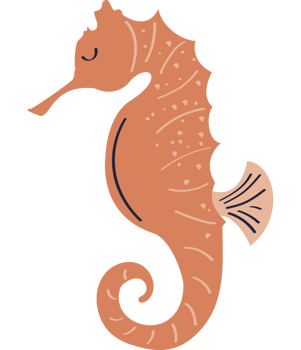 seahorse sealife animal png