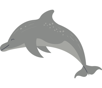 dolphin sealife animal png