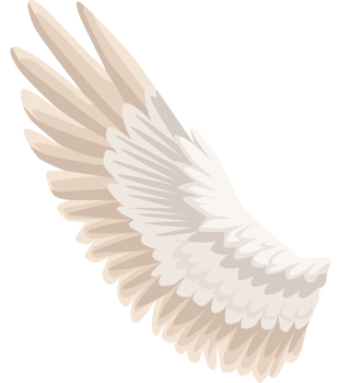 angel wing feathers white png