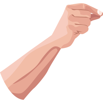 hand human holding up png