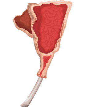 tomahawk beef cut png